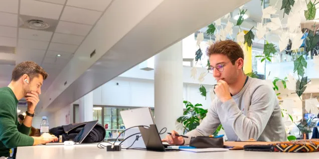 étudiants travaillant
