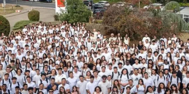 The Global BBA – a welcoming hive of international talent