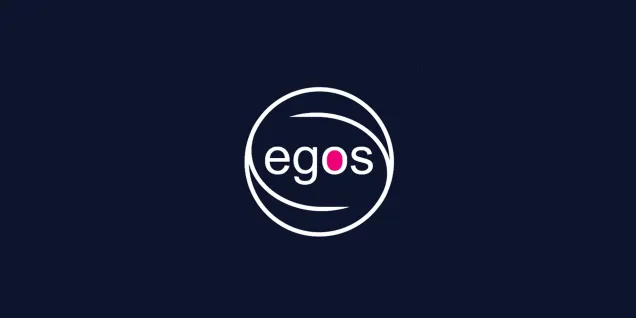 EGOS Best Paper Award 2024