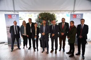 Arbre_à_souhaits_campus_emlyon