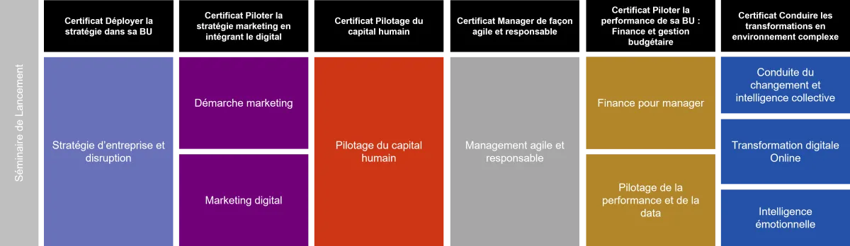 Programme diplôme executive master management général