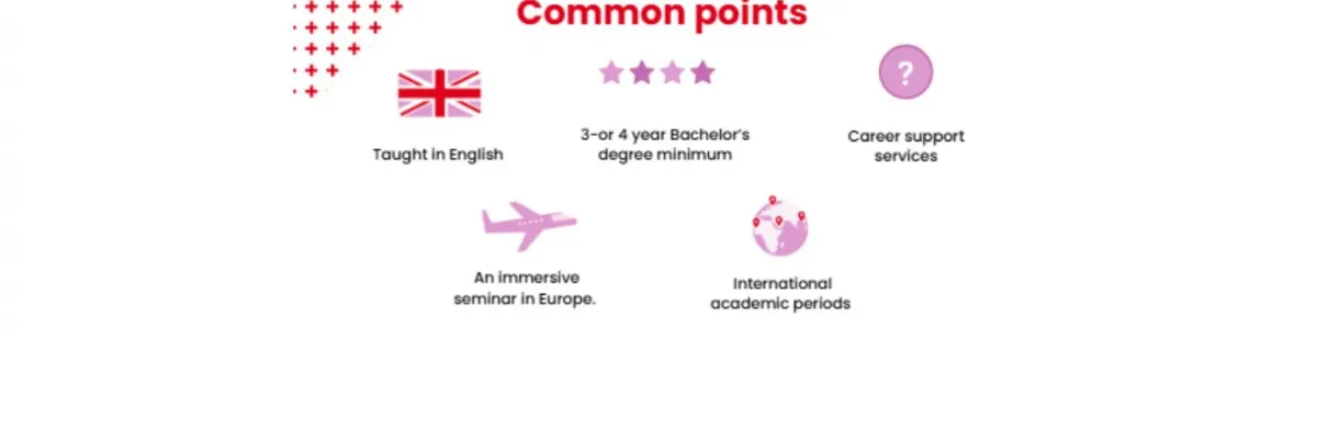 A strong professional and international dimension