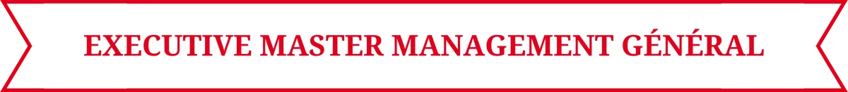 Pictogramme Executive Master Management Général