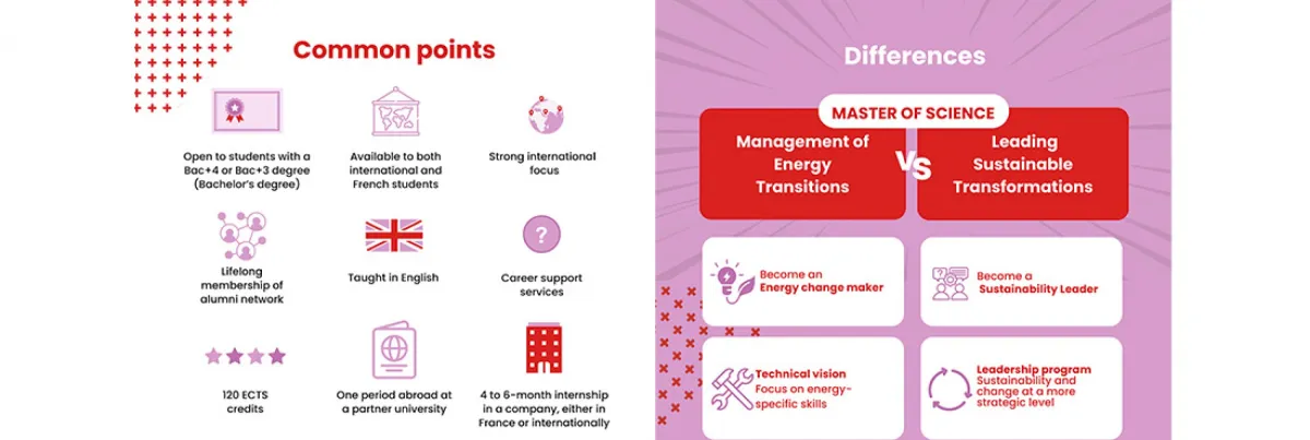 An infographic of the sustainability program, emlyon