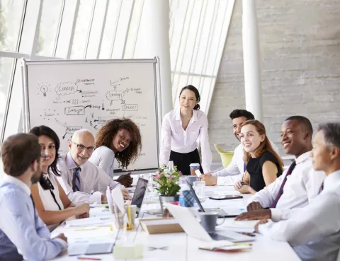 executive education