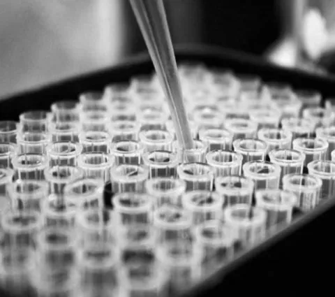 Le nouveau cursus emlyon BioPharma